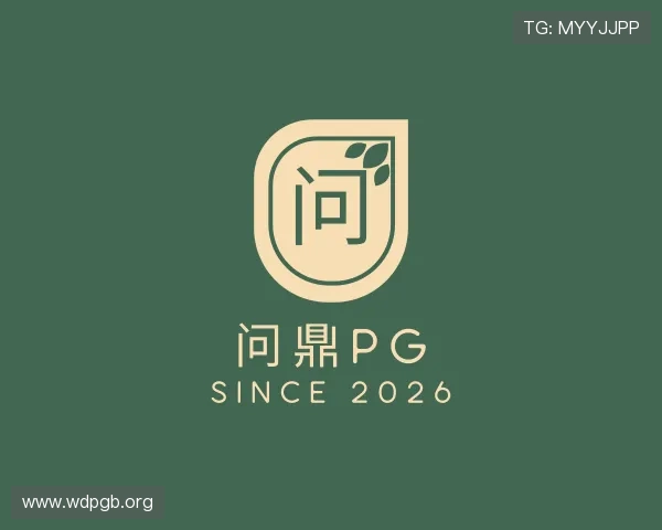 解读问鼎pg